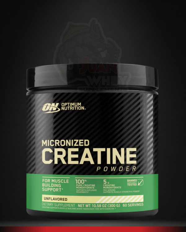 OPTIMUM NUTRITION MICRONIZED CREATINE POWDER
