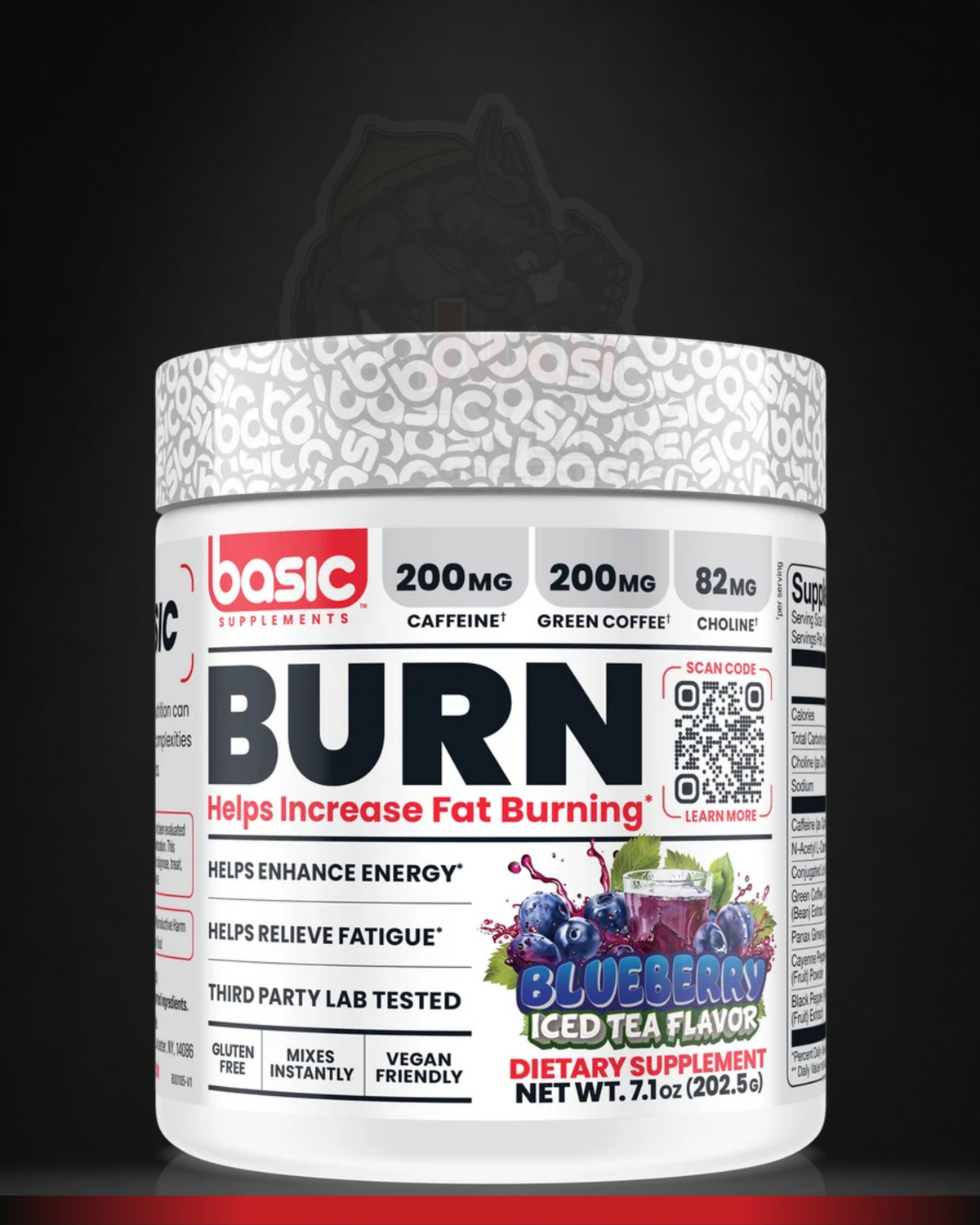BASIC SUPPLEMENTS BURN | 45 Servings